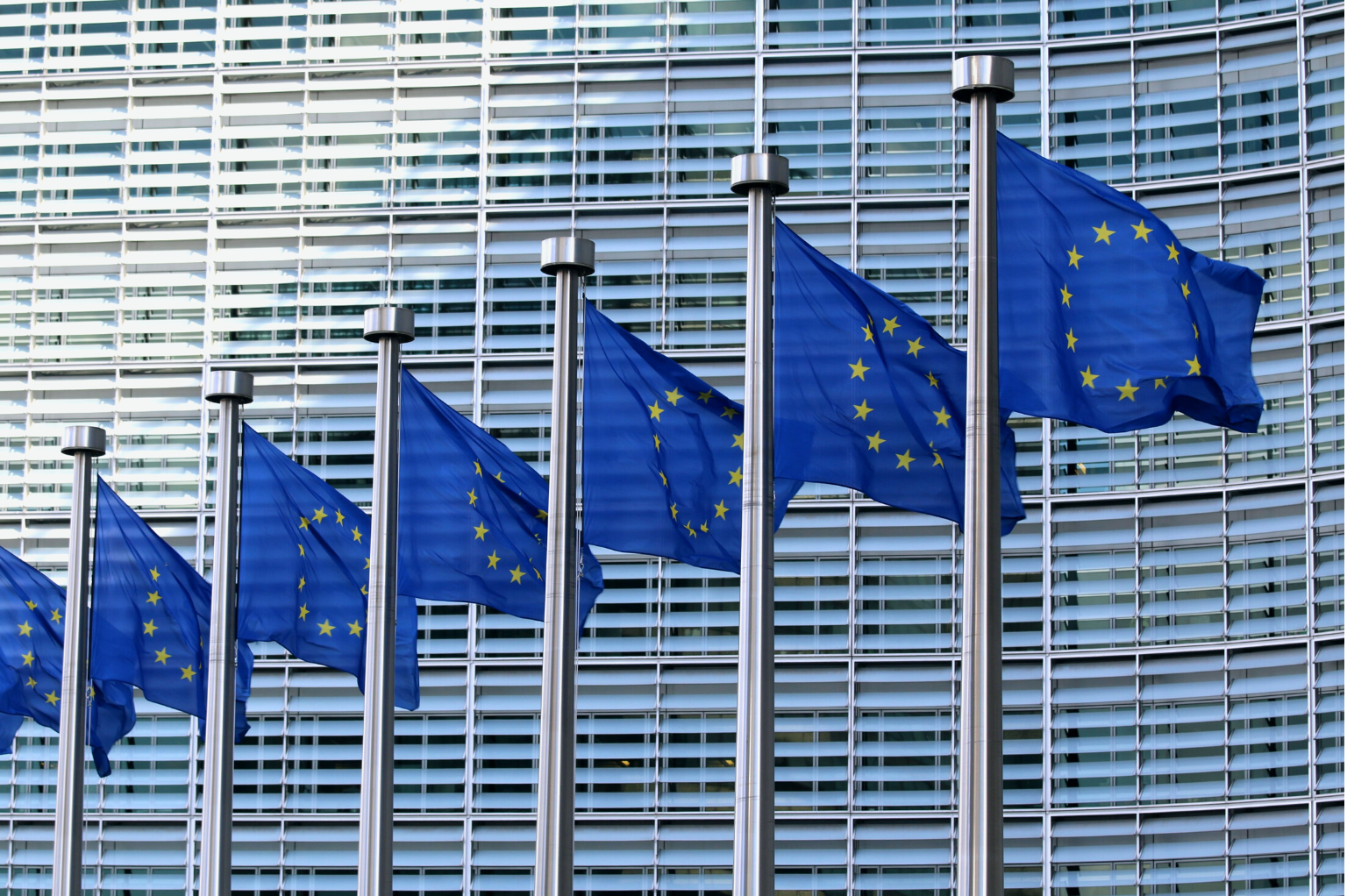 Imprese e diritti umani: Due Diligence obbligatoria? Bruxelles cambia passo