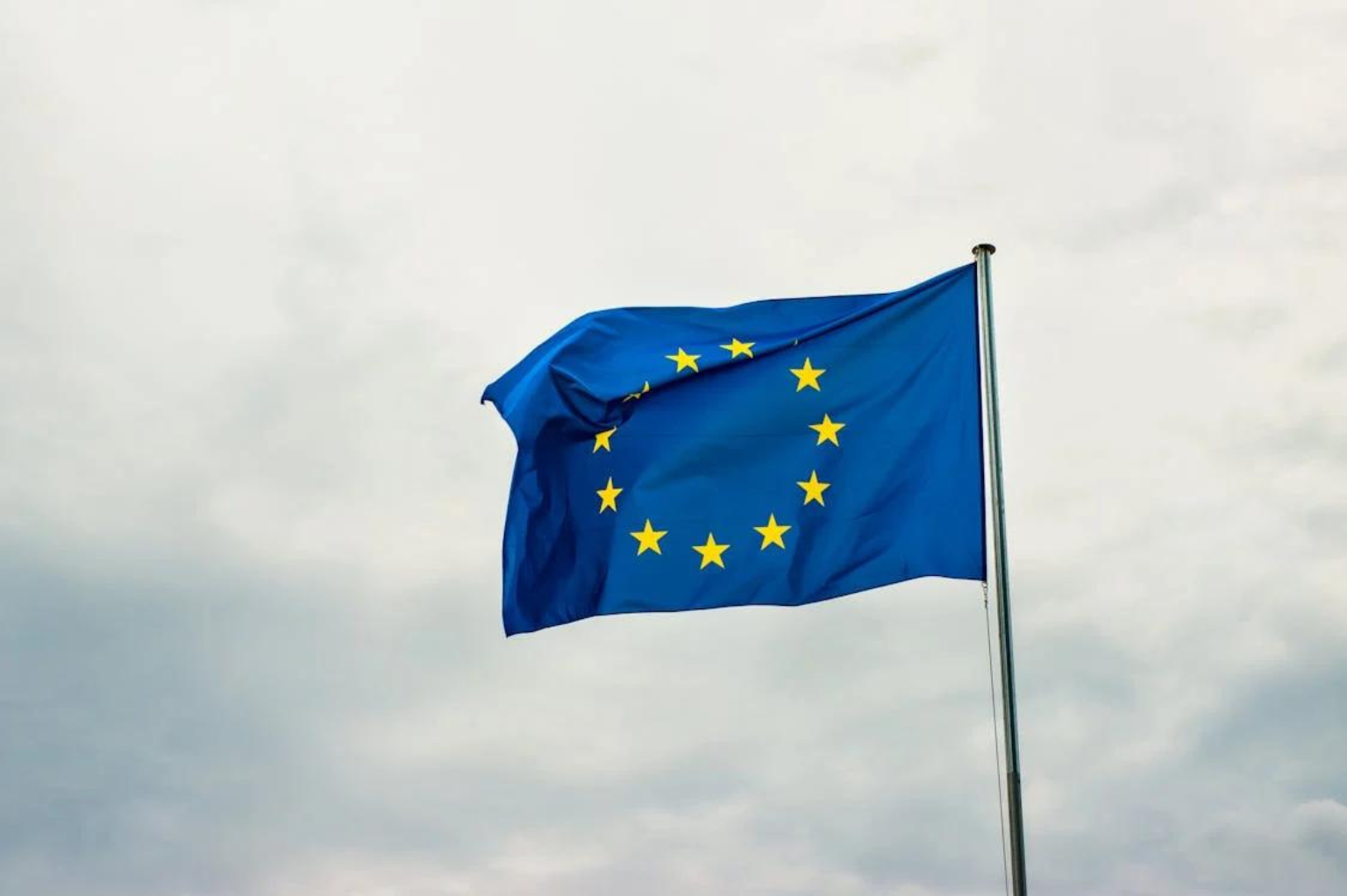Imprese, diritti, sostenibilità: il Parlamento Europeo approva la direttiva sulla due diligence